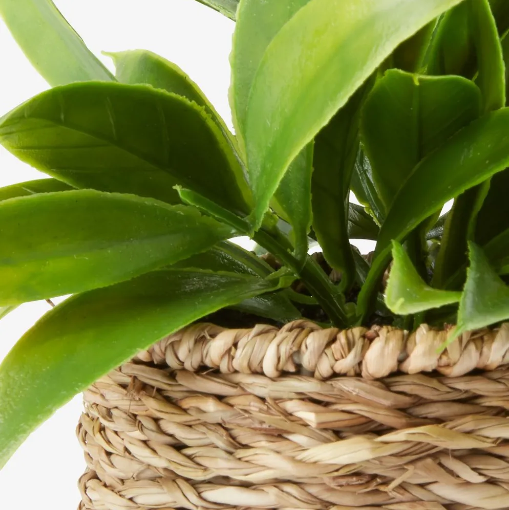 BERTRAMPlanta artificial BERTRAM Ø8xA18cm variado