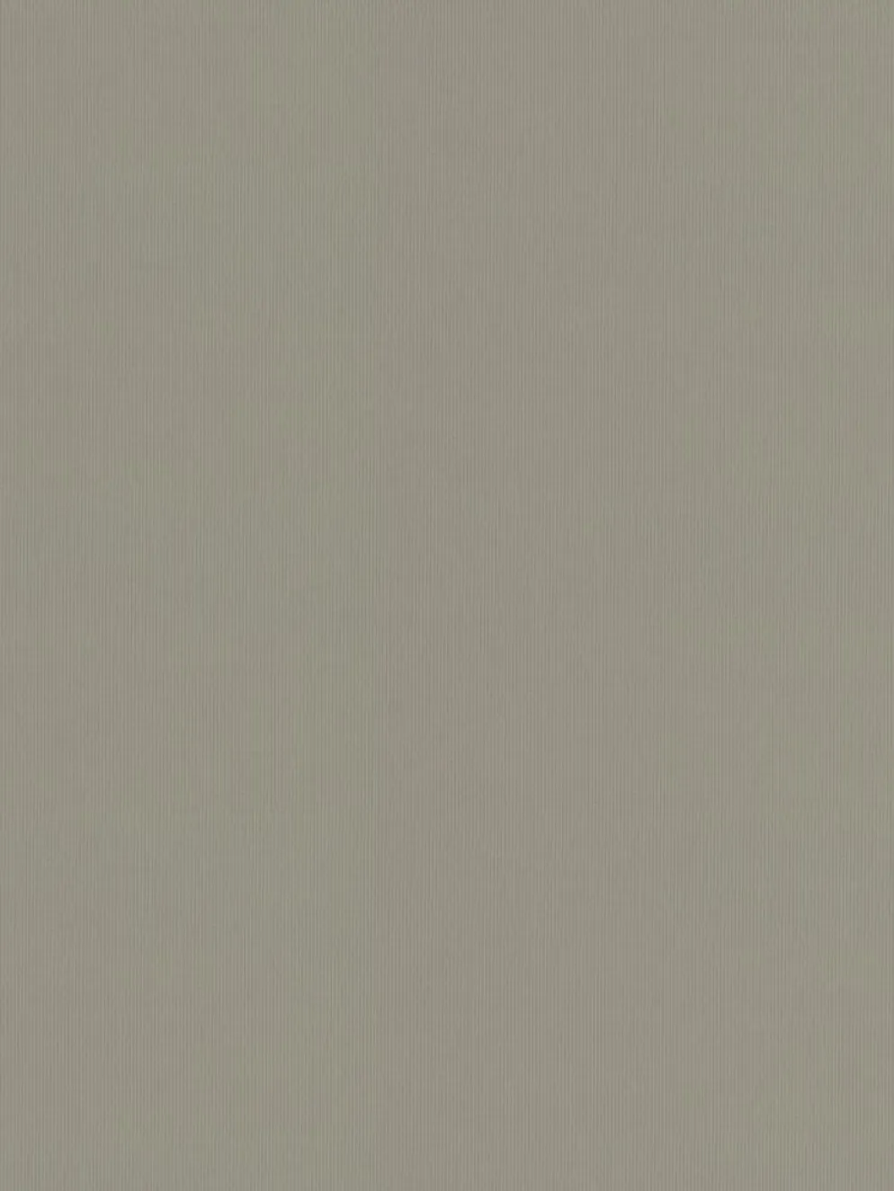 BOLGAEstor enrollable opaco BOLGA 60x170cm topo