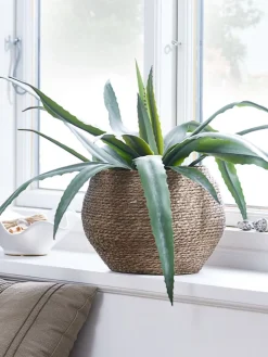 CELIUSPlanta artificial CELIUS A65cm aloe vera