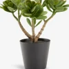 JOSTEINPlanta artificial JOSTEIN A23cm Crassula ovata
