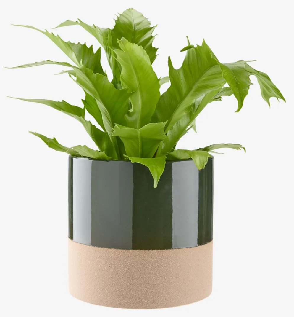 KRAGEMacetero KRAGE Ø16xA15 verde oscuro