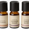 LEONAceite aromático LEON 10ml 3 unidades