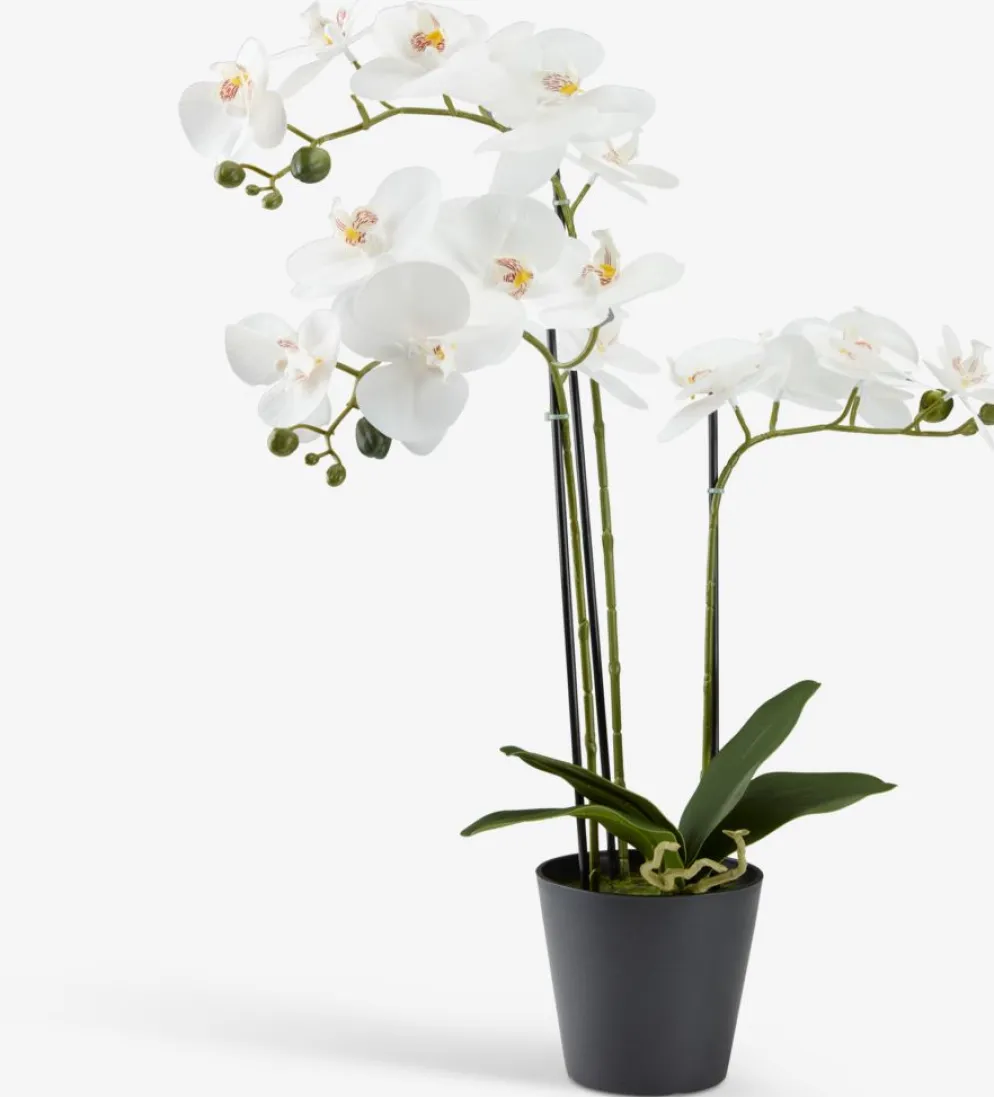 MATINUSPlanta artificial MATINUS A62cm orquídea blanca