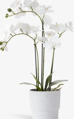 MATINUSPlanta artificial MATINUS A62cm orquídea blanca