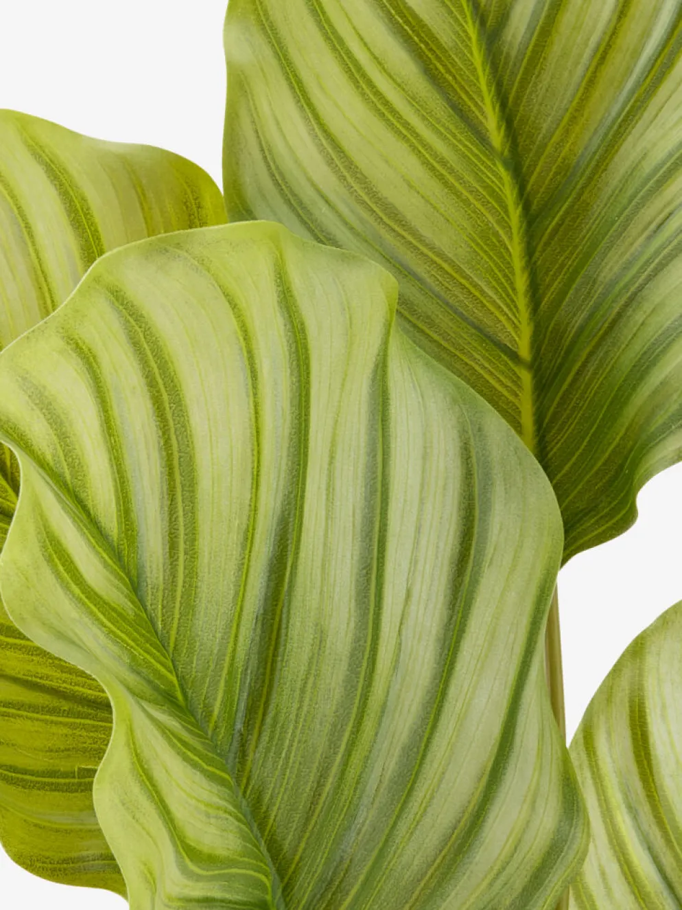 ROLFPlanta artificial ROLF A55cm verde