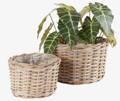 SANSEBIECesto de jardín SANSEBIE Ø35/27 kubu natural juego de 2