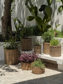 SANSEBIECesto de jardín SANSEBIE Ø50/40 kubu natural 2 unidades