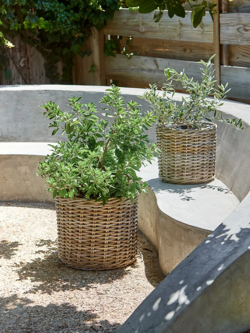 SEGLACesto de jardín SEGLA Ø50xA45 ratán natural